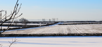 Snow covered fields, barren hedges and power linws.jpg